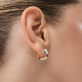 Multicolor Hoop Earrings